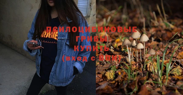 гидропоника Зеленокумск